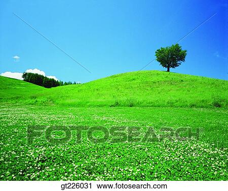 Cheju Island, Cheju, Halla mountain, halla mountain View Large Photo Image Stock Image - Cheju Island, Cheju, Halla mountain, halla mountain. Fotosearch