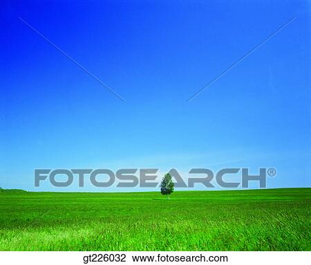 Cheju Island, Cheju, Halla mountain, halla mountain View Large Photo Image Stock Image - Cheju Island, Cheju, Halla mountain, halla mountain. Fotosearch