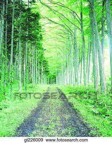 Stock Photo - Cheju Island, Cheju, Halla mountain, halla mountain, snowscape, snow. Fotosearch