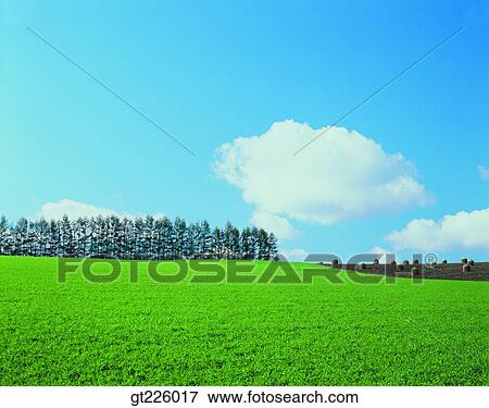 Stock Photo - Cheju Island, Cheju, Halla mountain, halla mountain. Fotosearch
