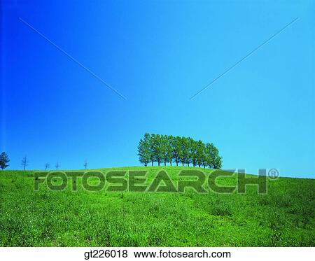 Stock Photo - Cheju Island, Cheju, Halla mountain, halla mountain, valley. Fotosearch