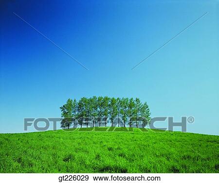 Cheju Island, Cheju, Halla mountain, halla mountain View Large Photo Image Stock Photo - Cheju Island, Cheju, Halla mountain, halla mountain. Fotosearch