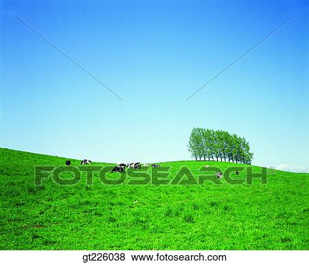 Stock Photo - Cheju Island, Cheju, Halla mountain, halla mountain. Fotosearch