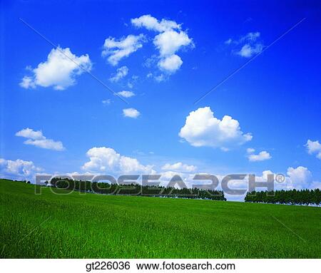 Cheju Island, Cheju, Halla mountain, halla mountain, snowscape, snow View Large Photo Image Stock Photograph - Cheju Island, Cheju, Halla mountain, halla mountain, snowscape, snow. Fotosearch