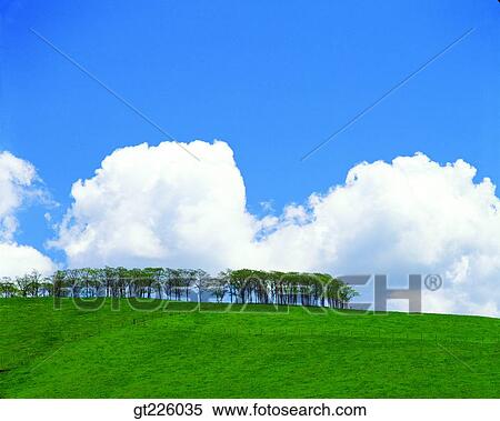 Cheju Island, Cheju, Halla mountain, halla mountain View Large Photo Image Stock Photography - Cheju Island, Cheju, Halla mountain, halla mountain. Fotosearch