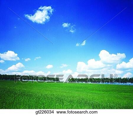 Cheju Island, Cheju, KAL hotel, KAL View Large Photo Image Picture - Cheju Island, Cheju, KAL hotel, KAL. Fotosearch