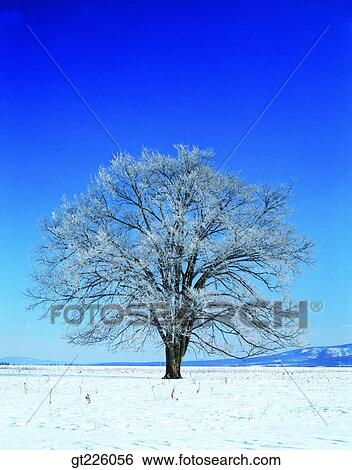 outdoor, exterior, day, daytime, daylight, nature, scene View Large Photo Image Stock Photograph - outdoor, exterior, day, daytime, daylight, nature, scene. Fotosearch