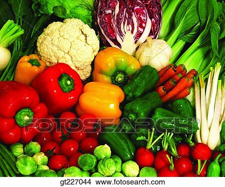 green pepper, vegetable, plant View Large Photo Image Picture - green pepper, vegetable, plant. Fotosearch