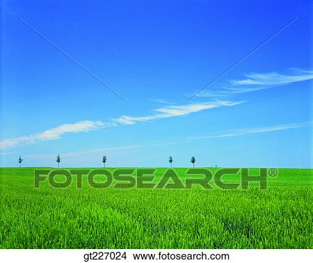 outdoor, exterior, day, daytime, daylight, scene, scenery View Large Photo Image Picture - outdoor, exterior, day, daytime, daylight, scene, scenery. Fotosearch
