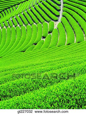 outdoor, exterior, day, daytime, daylight, scene, scenery View Large Photo Image Stock Image - outdoor, exterior, day, daytime, daylight, scene, scenery. Fotosearch