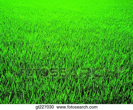 Stock Image - scene, scenery, landscape, nature, natural scene. Fotosearch