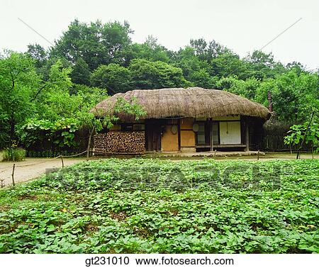 cottage, kitchen garden, field, farm, field, forest, trees View Large Photo Image Stock Image - cottage, kitchen garden, field, farm, field, forest, trees. Fotosearch