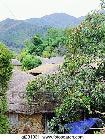 Nakan flok town, folk, town, Nakan, Sungju, cottage, tree View Large Photo Image Stock Image - Nakan flok town, folk, town, Nakan, Sungju, cottage, tree. Fotosearch