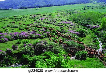 Korea, outdoor, exterior, day, daytime, daylight, many View Large Photo Image Stock Image - Korea, outdoor, exterior, day, daytime, daylight, many. Fotosearch