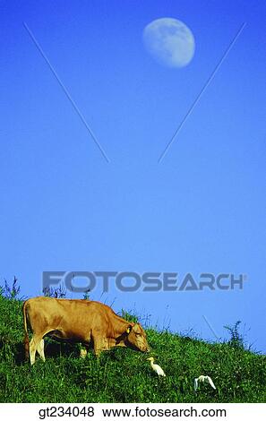 Stock Photo - Korea, outdoor, exterior, day, daytime, daylight, one. Fotosearch