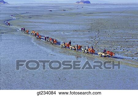 Korea, people, person, outdoor, exterior, day, daytime View Large Photo Image Picture - Korea, people, person, outdoor, exterior, day, daytime. Fotosearch