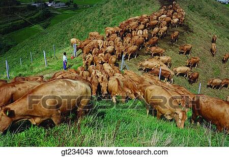 Korea, people, person, outdoor, exterior, day, daytime View Large Photo Image Stock Image - Korea, people, person, outdoor, exterior, day, daytime. Fotosearch