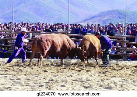 Korea, people, person, outdoor, exterior, day, daytime View Large Photo Image Stock Image - Korea, people, person, outdoor, exterior, day, daytime. Fotosearch