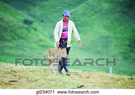 Korea, people, person, outdoor, exterior, day, daytime View Large Photo Image Stock Image - Korea, people, person, outdoor, exterior, day, daytime. Fotosearch