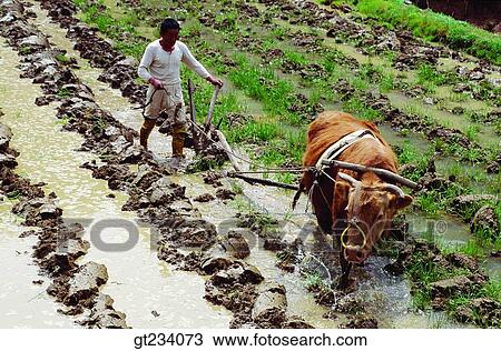 Korea, people, person, outdoor, exterior, day, daytime View Large Photo Image Stock Image - Korea, people, person, outdoor, exterior, day, daytime. Fotosearch