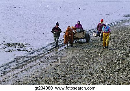 Korea, people, person, outdoor, exterior, day, daytime View Large Photo Image Stock Image - Korea, people, person, outdoor, exterior, day, daytime. Fotosearch