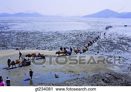 Korea, people, person, outdoor, exterior, day, daytime View Large Photo Image Stock Image - Korea, people, person, outdoor, exterior, day, daytime. Fotosearch