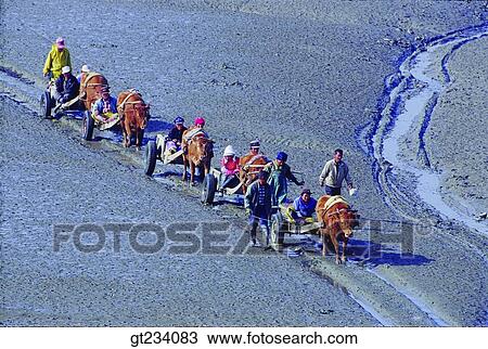 Stock Image - Korea, people, person, outdoor, exterior, day, daytime. Fotosearch
