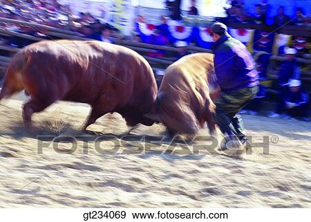 Stock Photo - Korea, people, person, outdoor, exterior, day, daytime. Fotosearch