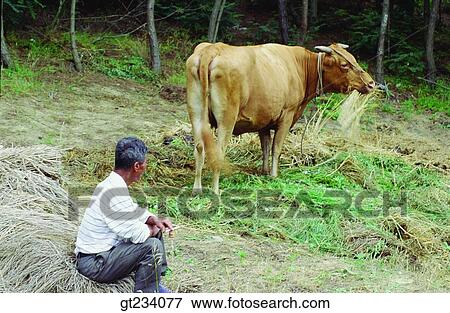 Korea, people, person, outdoor, exterior, day, daytime View Large Photo Image Stock Photo - Korea, people, person, outdoor, exterior, day, daytime. Fotosearch