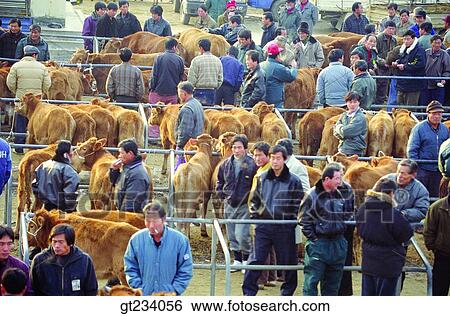 Stock Photograph - Korea, people, person, outdoor, exterior, day, daytime. Fotosearch
