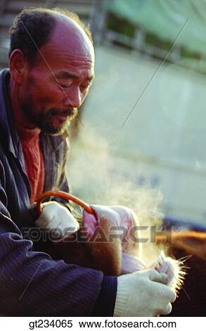 Korea, people, person, outdoor, exterior, day, daytime View Large Photo Image Stock Photography - Korea, people, person, outdoor, exterior, day, daytime. Fotosearch