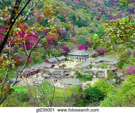 Stock Image - baekyangsa, fall, autumn, fallen leaves, dead leaves, red leaves, forest. Fotosearch