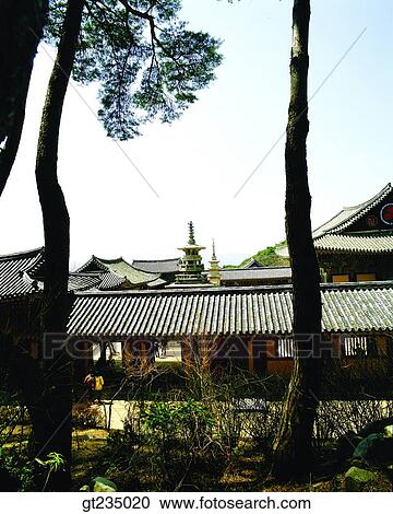 Bulguksa, Sukgatap, Sukga towerpagoda, Dabo tower, Dabotap, pagoda, pine View Large Photo Image Stock Image - Bulguksa, Sukgatap, Sukga towerpagoda, Dabo tower, Dabotap, pagoda, pine. Fotosearch