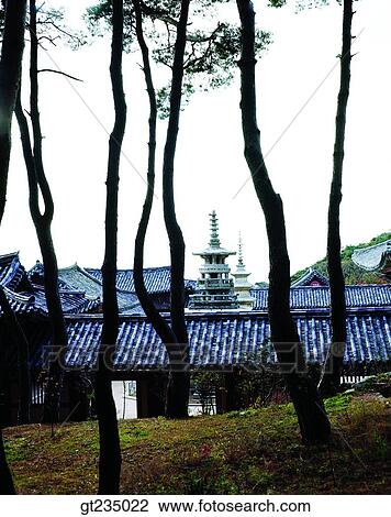 Bulguksa, Sukgatap, Sukga towerpagoda, Dabo tower, Dabotap, pagoda, pine View Large Photo Image Stock Image - Bulguksa, Sukgatap, Sukga towerpagoda, Dabo tower, Dabotap, pagoda, pine. Fotosearch