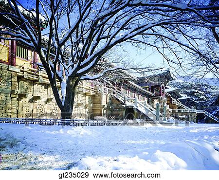 Stock Photo - Bulguksa, winter, snowscape, snow, tree, snow, race. Fotosearch