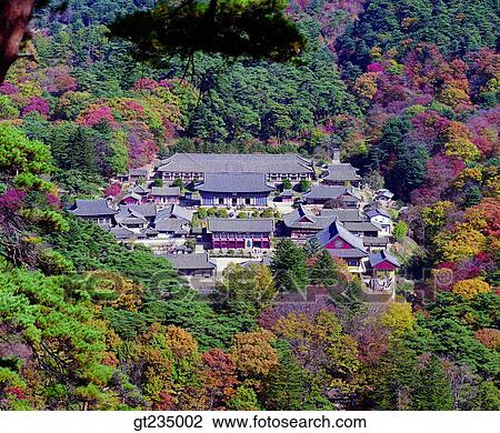 Haeinsa, fall, autumn, fallen leaves, dead leaves, red leaves, forest View Large Photo Image Stock Image - Haeinsa, fall, autumn, fallen leaves, dead leaves, red leaves, forest. Fotosearch