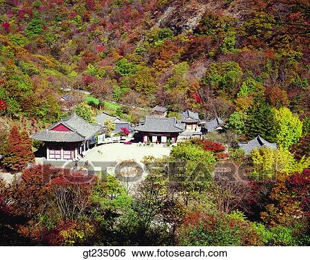 Nejangsa, fall, autumn, fallen leaves, dead leaves, red leaves, forest View Large Photo Image Stock Photograph - Nejangsa, fall, autumn, fallen leaves, dead leaves, red leaves, forest. Fotosearch