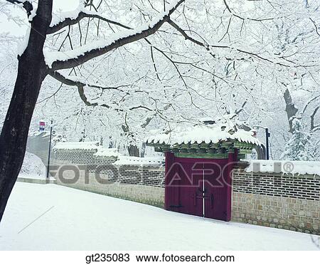 snowscape, snow, stone wall, gate, door, wall, tree View Large Photo Image Stock Image - snowscape, snow, stone wall, gate, door, wall, tree. Fotosearch