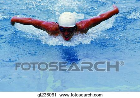 swim, swimming, butterfly stroke, people, person, swim, swimmer View Large Photo Image Stock Image - swim, swimming, butterfly stroke, people, person, swim, swimmer. Fotosearch