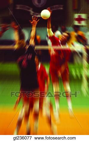 volleyball, people, person, volleyball game, match, contest, volleyball player View Large Photo Image Stock Photo - volleyball, people, person, volleyball game, match, contest, volleyball player. Fotosearch