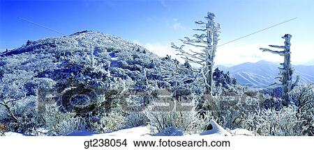 Korea, outdoor, daytime, daylight, daylandscape, scene, scenery View Large Photo Image Picture - Korea, outdoor, daytime, daylight, daylandscape, scene, scenery. Fotosearch
