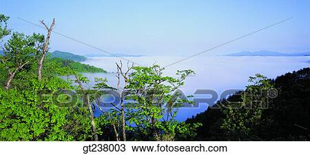 Korea, outdoor, daytime, daylight, daymountain, tree View Large Photo Image Stock Image - Korea, outdoor, daytime, daylight, daymountain, tree. Fotosearch