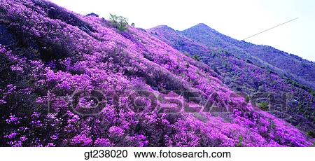 Korea, outdoor, daytime, daylight, daylandscape, scene, scenery View Large Photo Image Stock Image - Korea, outdoor, daytime, daylight, daylandscape, scene, scenery. Fotosearch