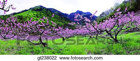 Stock Image - Korea, outdoor, daytime, daylight, daylandscape, scene, scenery. Fotosearch
