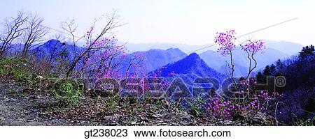 Korea, outdoor, daytime, daylight, daylandscape, scene, scenery View Large Photo Image Stock Image - Korea, outdoor, daytime, daylight, daylandscape, scene, scenery. Fotosearch