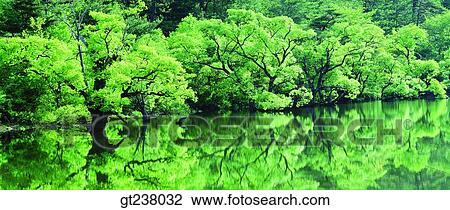 Korea, outdoor, daytime, daylight, daylandscape, scene, scenery View Large Photo Image Stock Image - Korea, outdoor, daytime, daylight, daylandscape, scene, scenery. Fotosearch