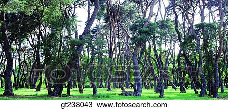 Korea, outdoor, daytime, daylight, daylandscape, scene, scenery View Large Photo Image Stock Image - Korea, outdoor, daytime, daylight, daylandscape, scene, scenery. Fotosearch