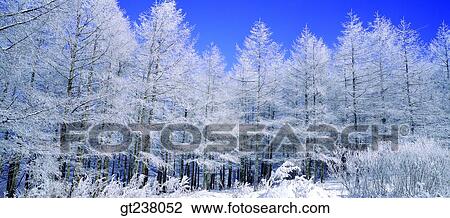 Korea, outdoor, daytime, daylight, daylandscape, scene, scenery View Large Photo Image Stock Image - Korea, outdoor, daytime, daylight, daylandscape, scene, scenery. Fotosearch
