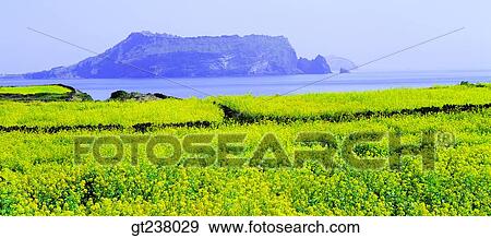 Korea, outdoor, daytime, daylight, daylandscape, scene, scenery View Large Photo Image Stock Photo - Korea, outdoor, daytime, daylight, daylandscape, scene, scenery. Fotosearch