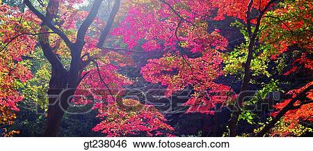 Korea, outdoor, daytime, daylight, daylandscape, scene, scenery View Large Photo Image Stock Photograph - Korea, outdoor, daytime, daylight, daylandscape, scene, scenery. Fotosearch
